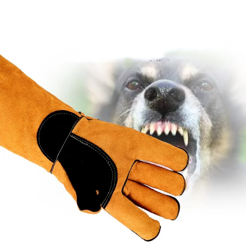 Pet Gloves Cowhide Leather Ant - Leatherwork Training 评论和价格