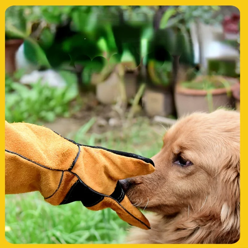 Pet Gloves Cowhide Leather Ant - Leatherwork Training 评论和价格