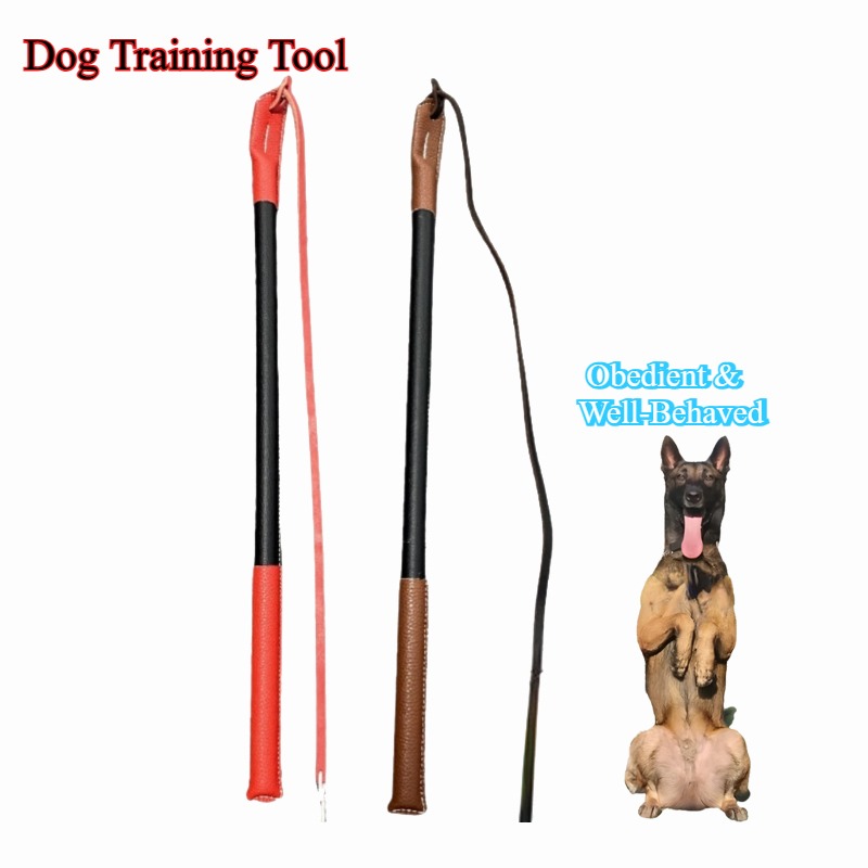 Leather Crack Whip - Dog Train - Leatherwork Training 评论和价格