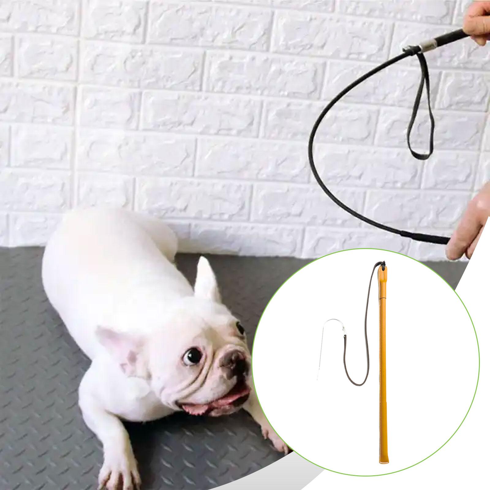 Wear Resistant PU Leather Dog  - Leatherwork Training 评论和价格