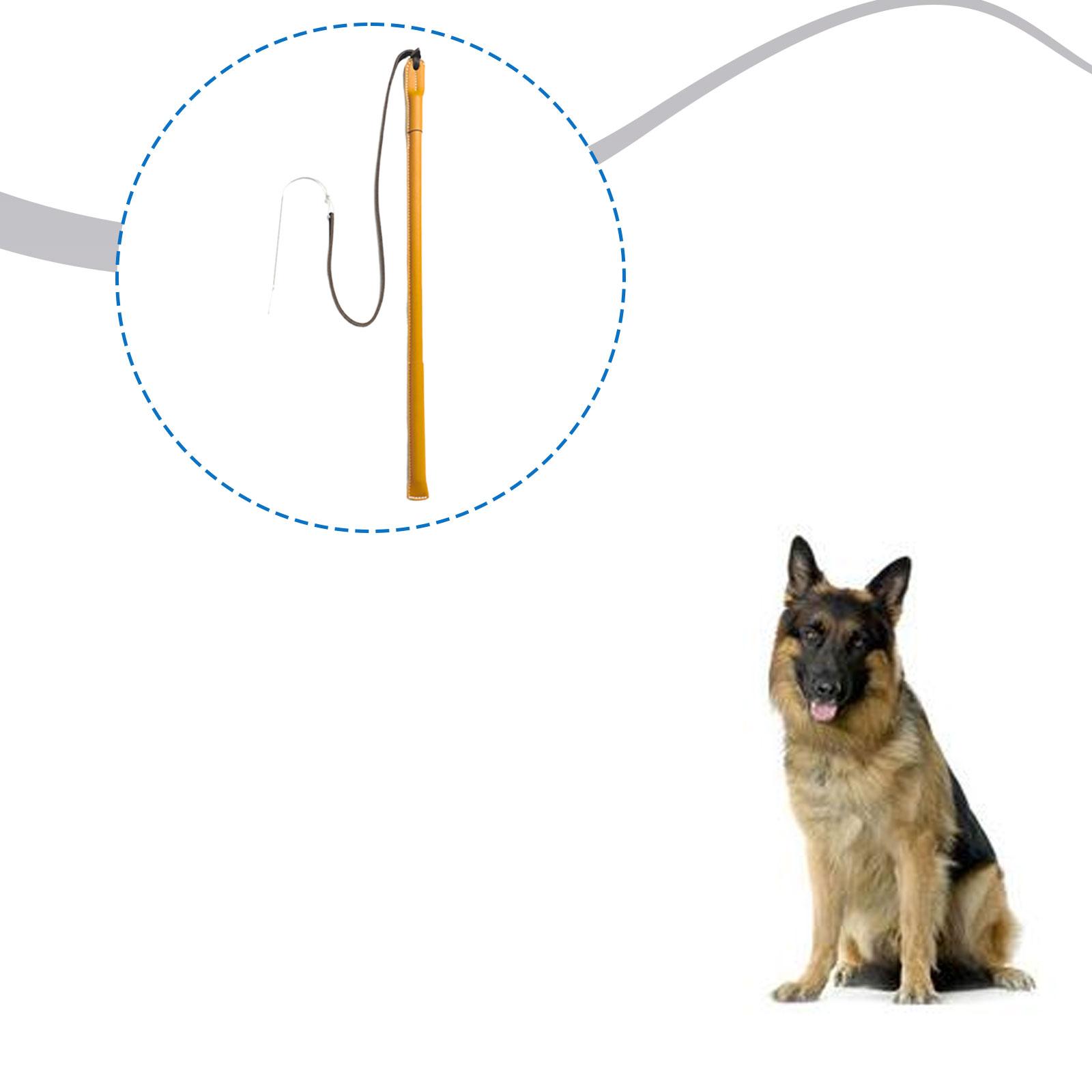 Wear Resistant PU Leather Dog  - Leatherwork Training 评论和价格
