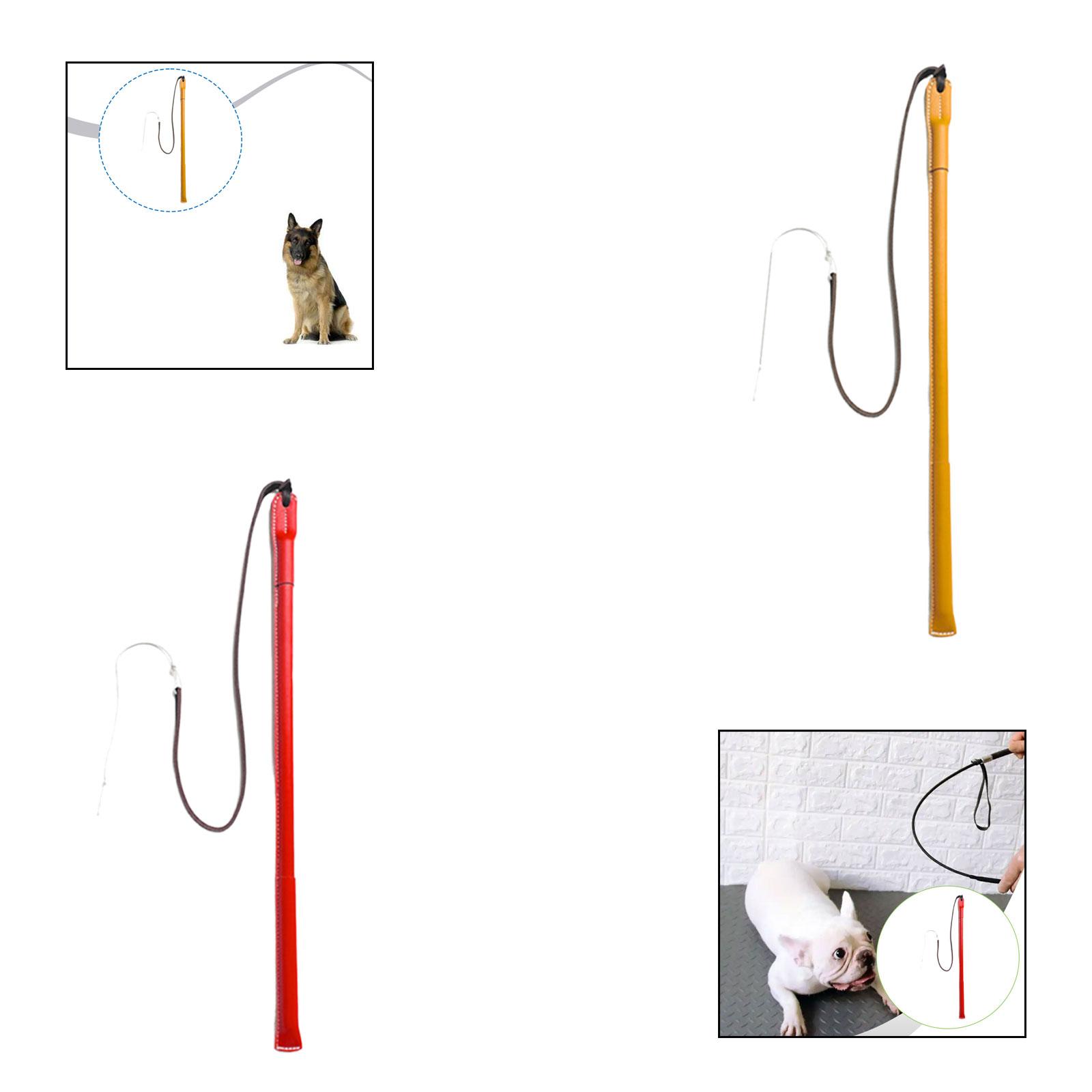 Wear Resistant PU Leather Dog  - Leatherwork Training 评论和价格