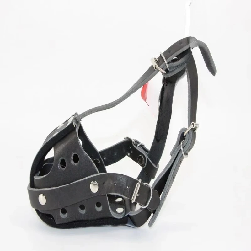Tactical Dog Leather Working D - Leatherwork Training 评论和价格