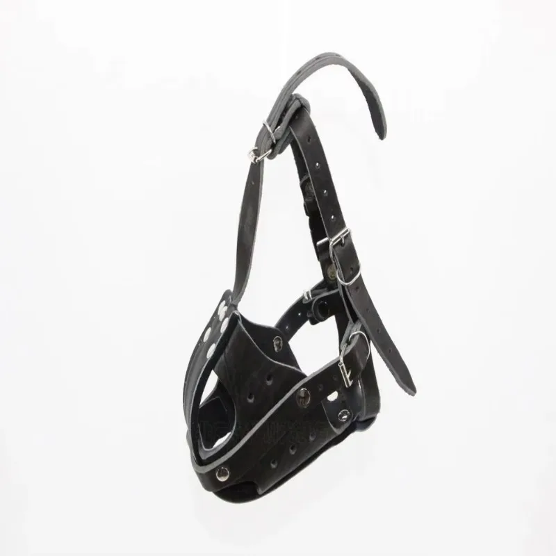 Tactical Dog Leather Working D - Leatherwork Training 评论和价格