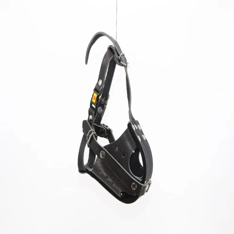 Tactical Dog Leather Working D - Leatherwork Training 评论和价格