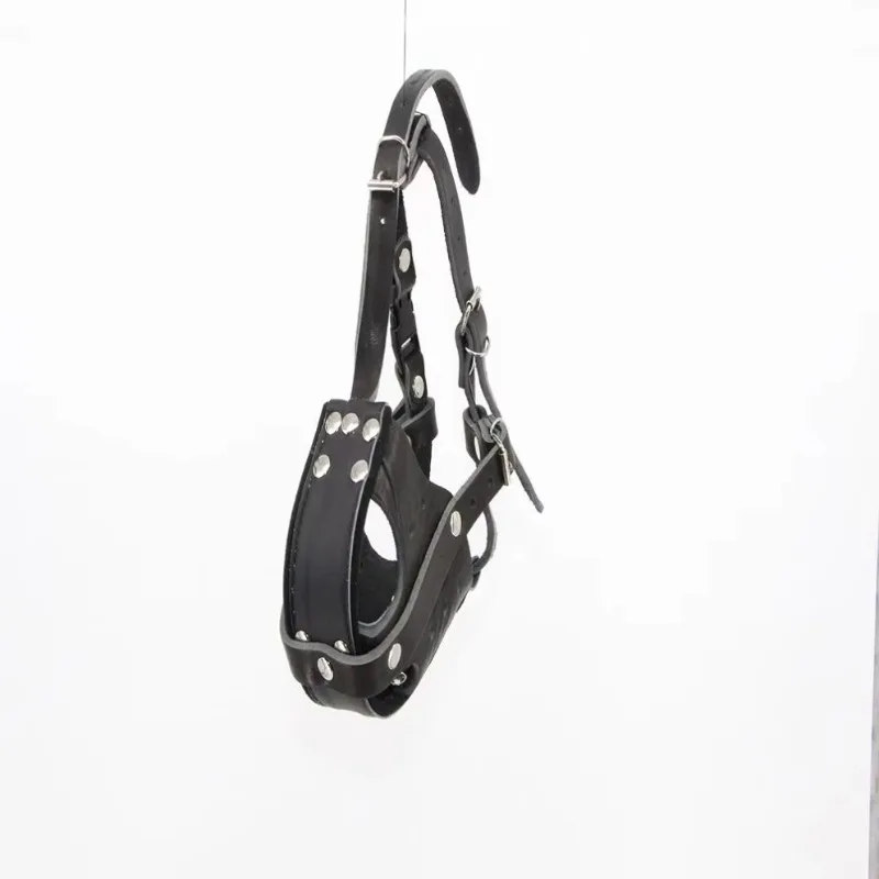Tactical Dog Leather Working D - Leatherwork Training 评论和价格